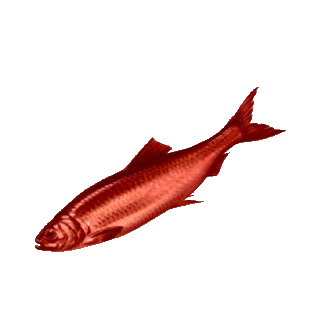 A red herring